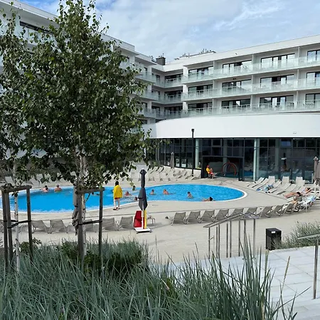 Ahava Olive Kołobrzeg