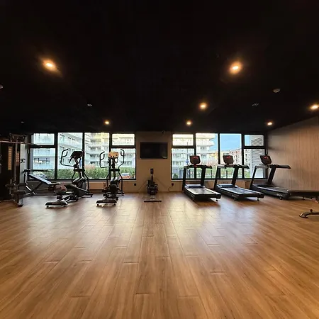 Ahava Olive Apartment